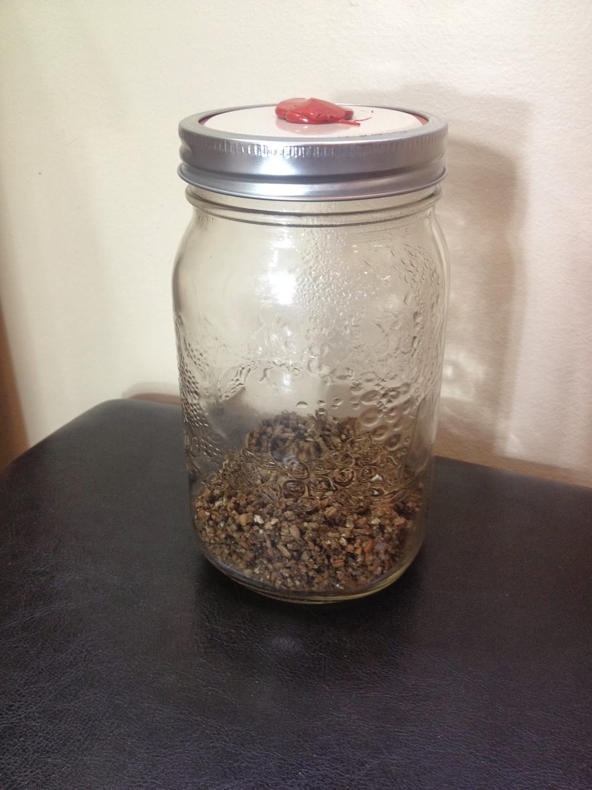 Vancouver Seed Bank Invitro Mushroom Jars Instructions