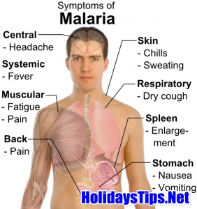 Malaria Disease