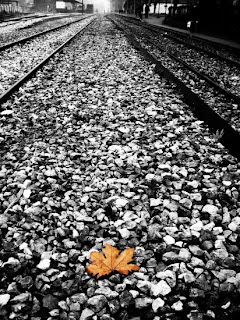 3CD9C7823ADF99E4 - 3CD9C7823ADF99E4