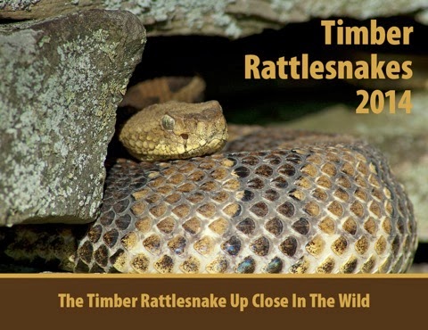 2014 Timber Rattlesnake calendars are now avialable. Don't miss out!!!