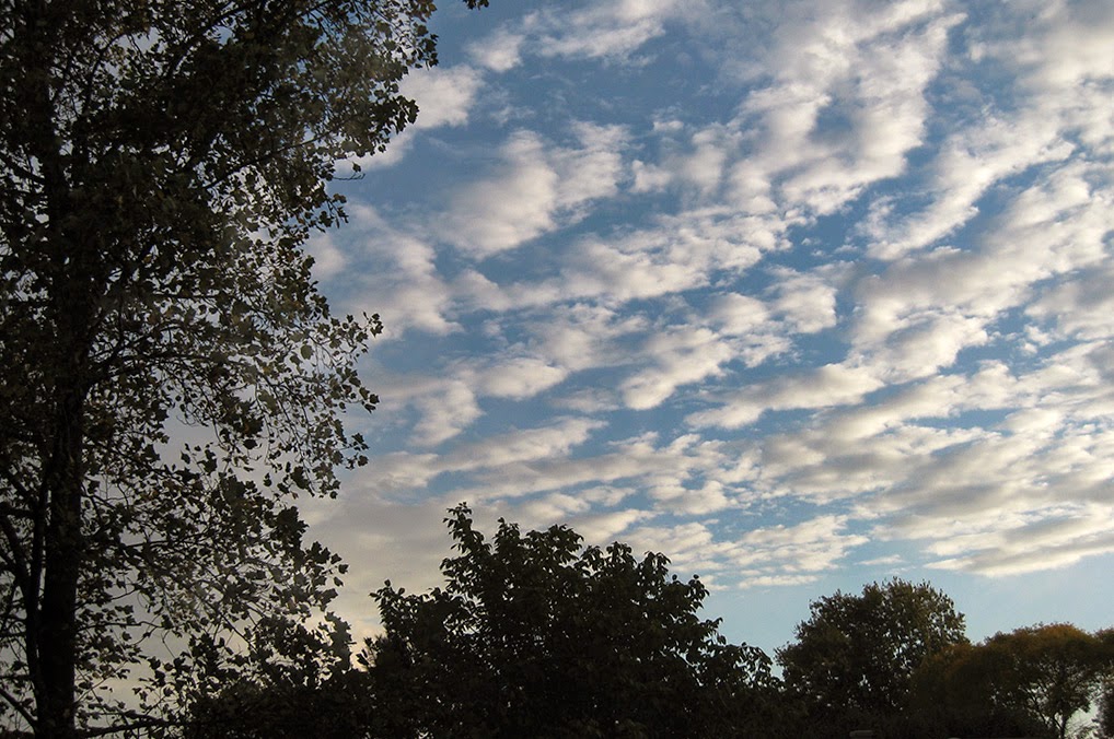 Ferida's Clouds