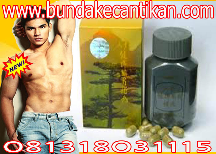 PENGGEMUK.jpg