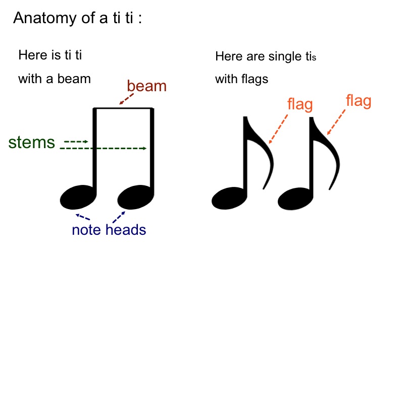 Teaching Music Tanya's Kodály Aspiring Blog Anatomy of a note and