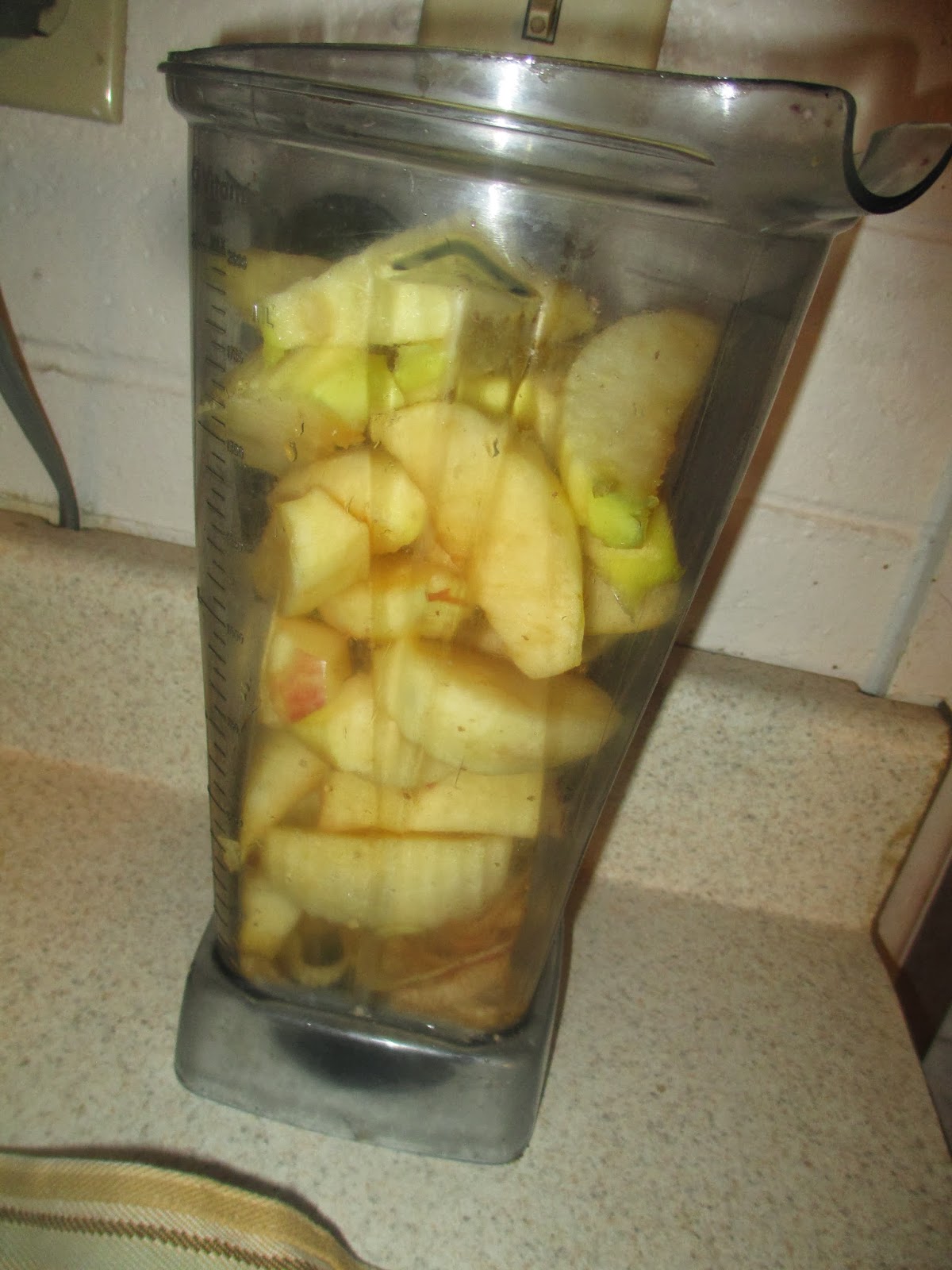 Creativity in the Kitchen LactoFermented Dehydrated Applesauce Fruit