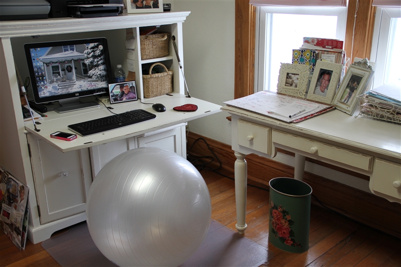 Mother Rabbit My Desk Chair