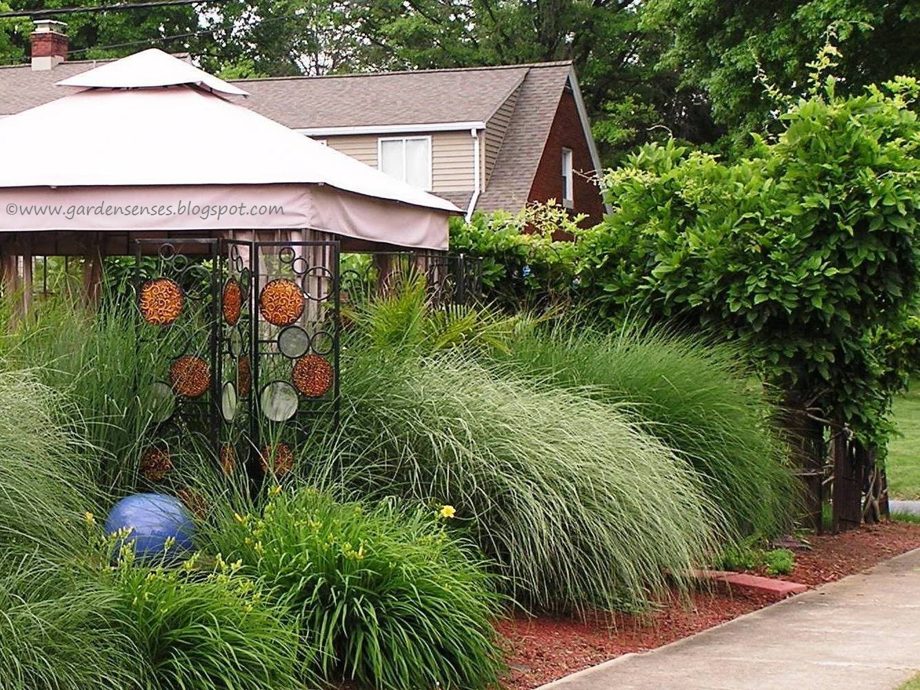 Garden Sense Create Focus