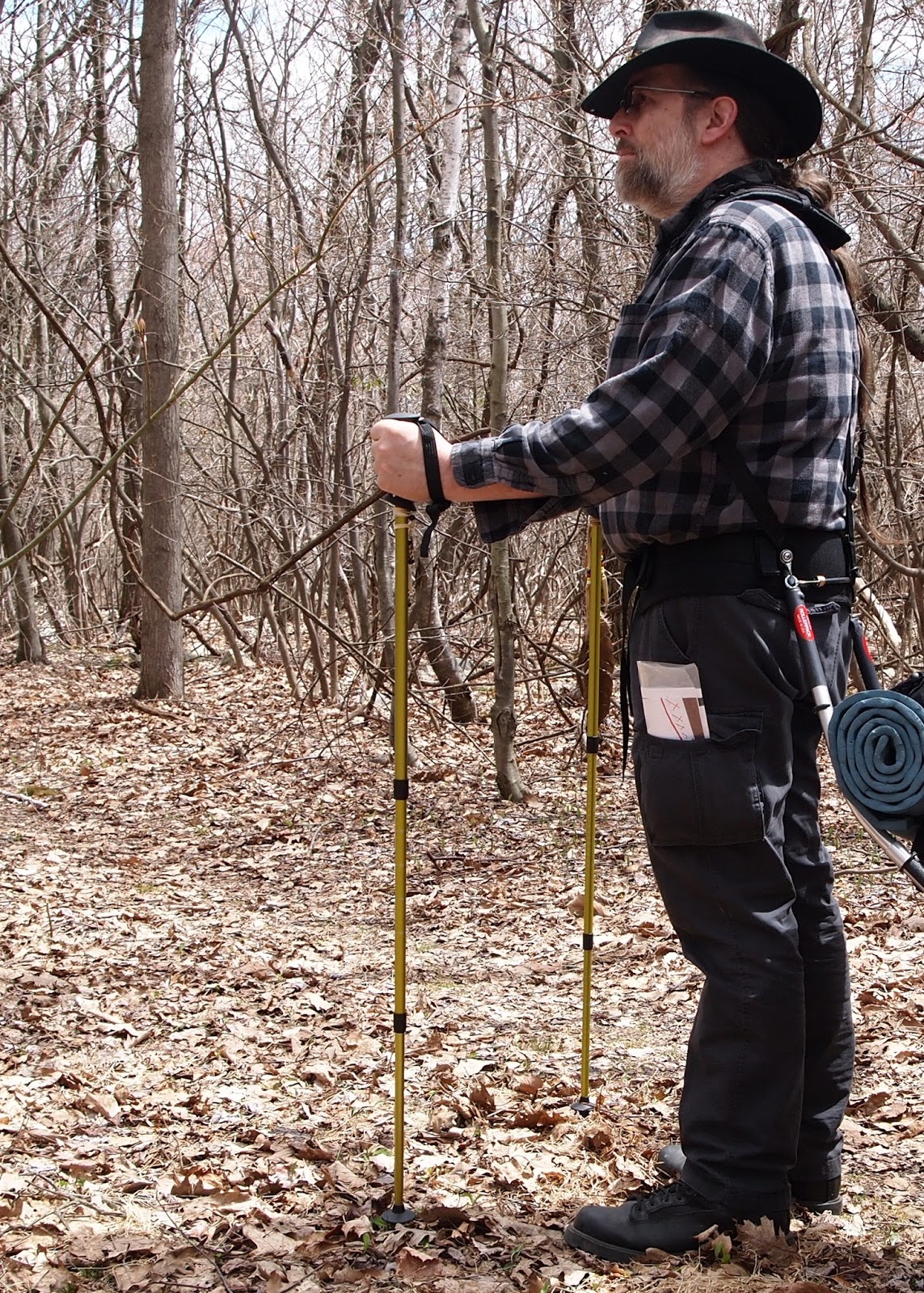 outdoor products apex trekking pole set