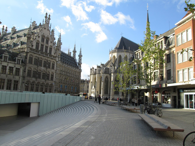 blog.oanasinga.com-winter-in-Europe-Leuven-Belgium-November-2012-(7)