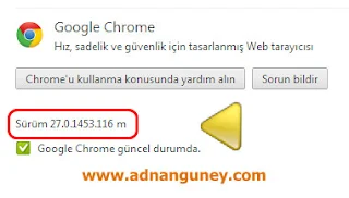 Google Chrome 