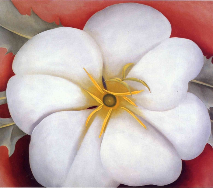 Maher Art Gallery O'Keeffe 18871986