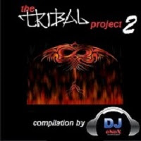 The Tribal Project 2