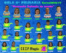 6º PRIMARIA 2017