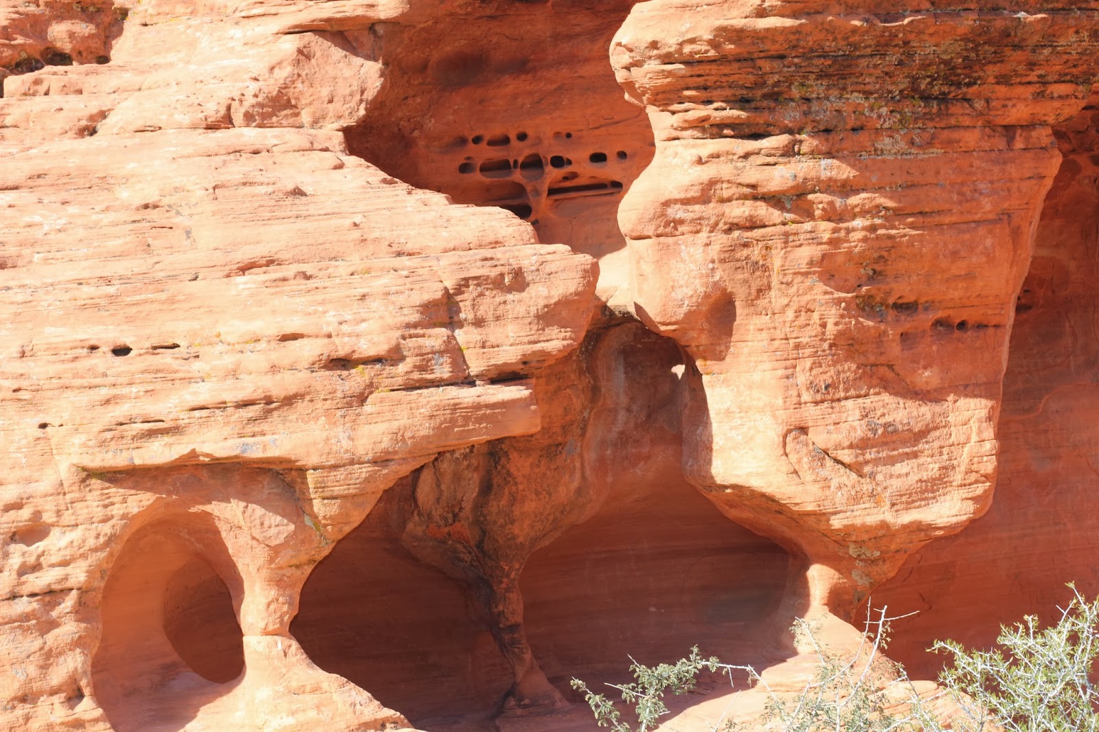 Kreyola's Journeys Las Vegas, Nevada Sin City, Red Rock Canyon & Valley of Fire