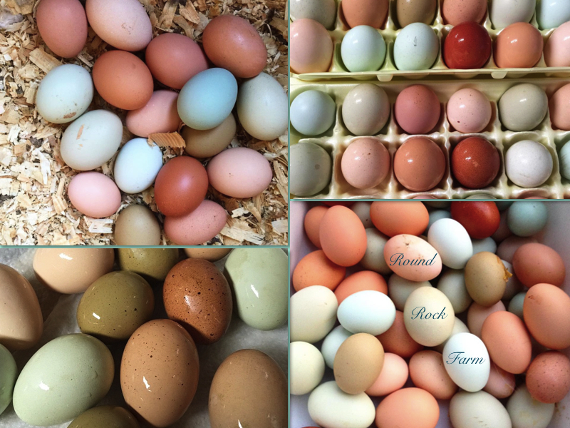 Good Things by David Naturally Beautiful Eggs