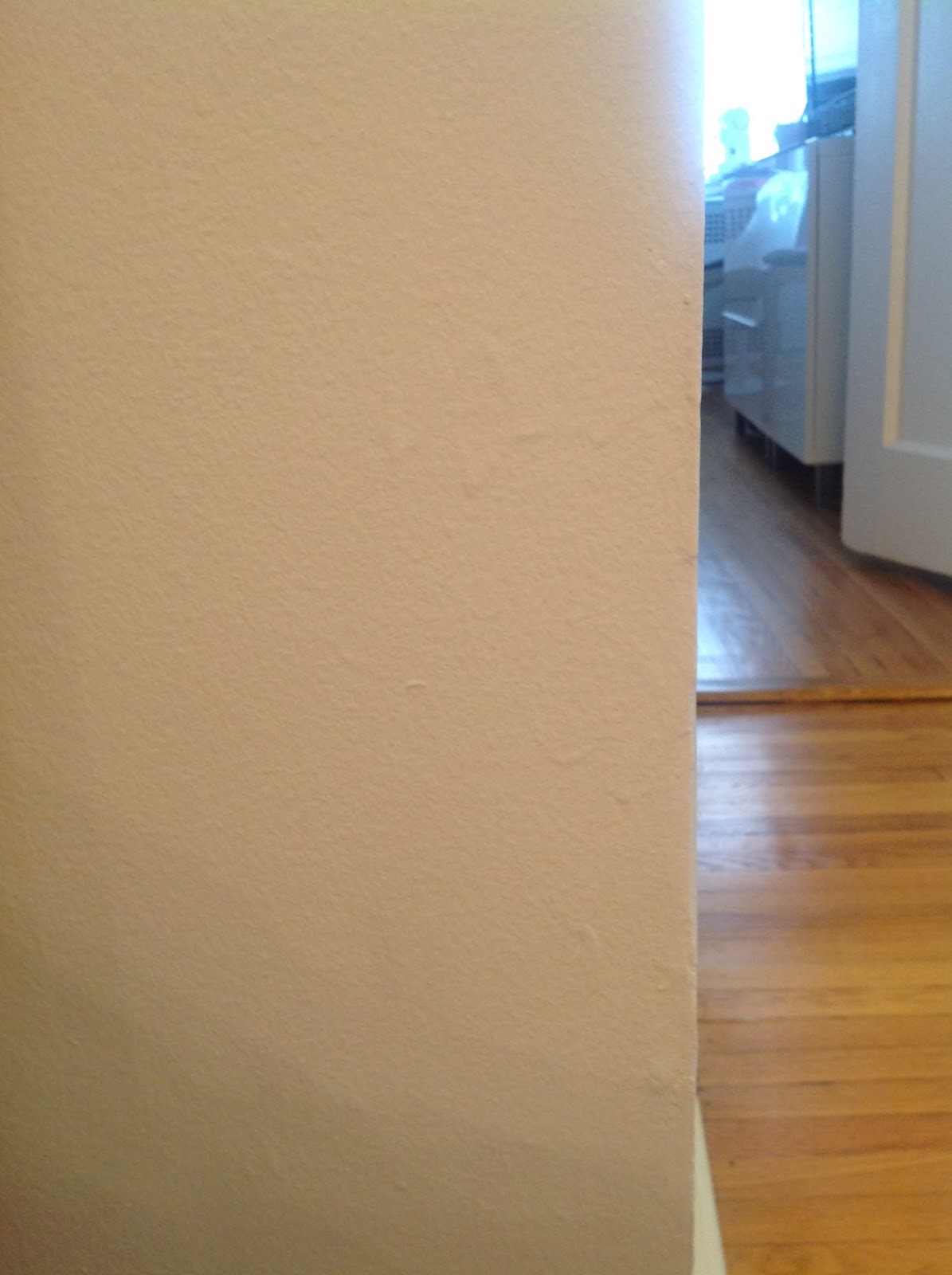 Cheater's Guide to Touching Up Wall Paint