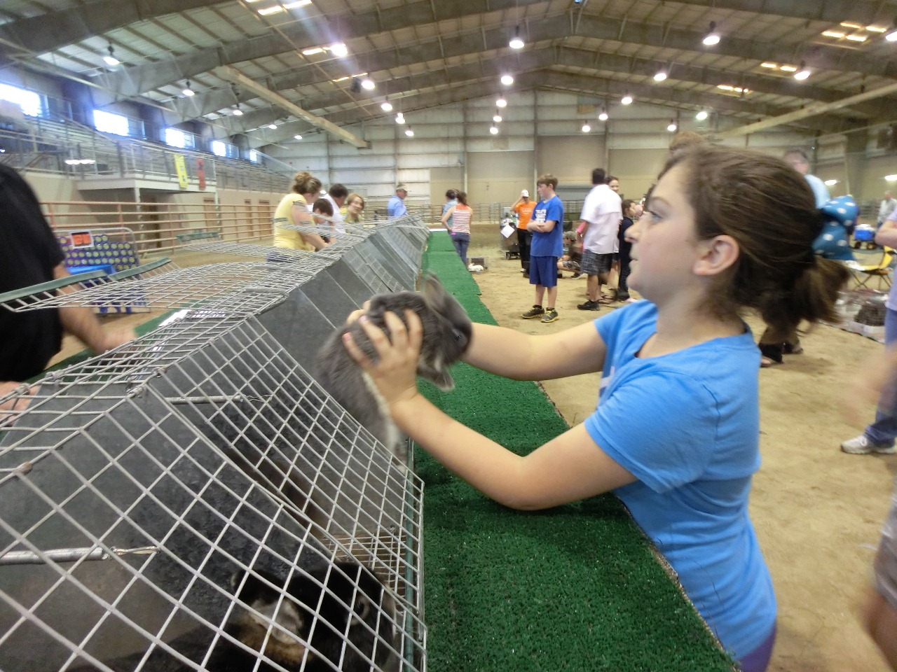 Southern University Ag Center and College of Agriculture Rabbit Show