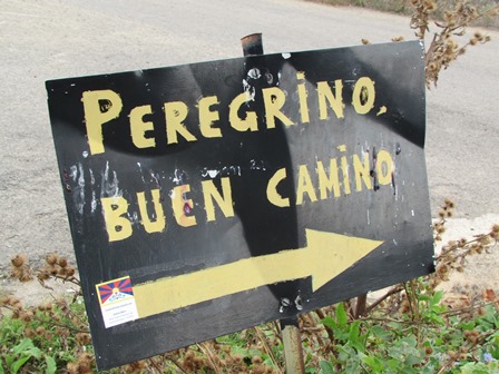 Peregrino