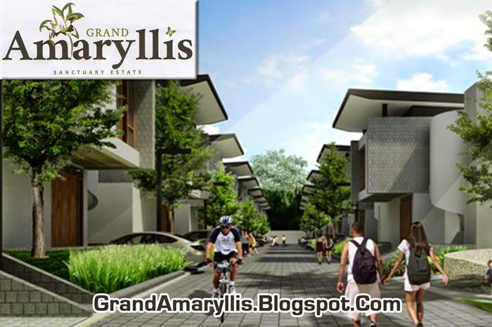 Grand Amaryllis Sidewalk