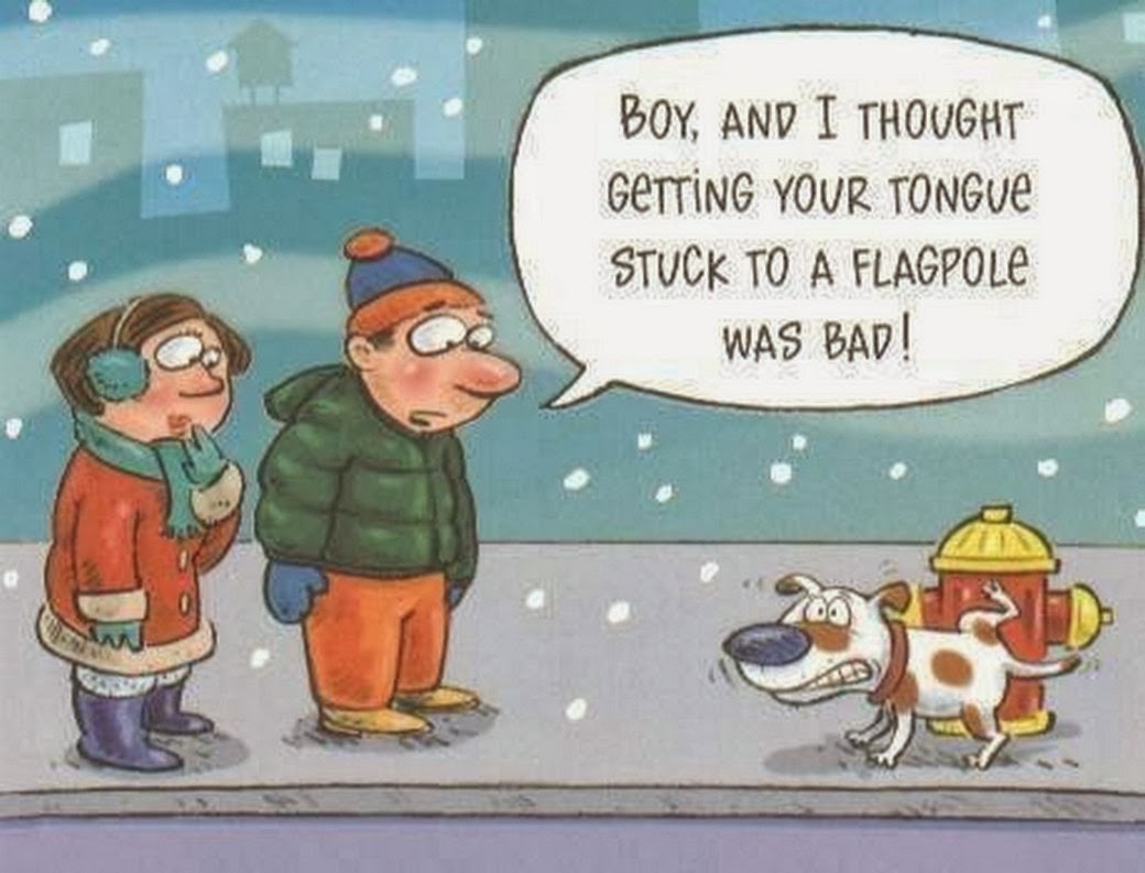 Good day to post some "snow funnies" .