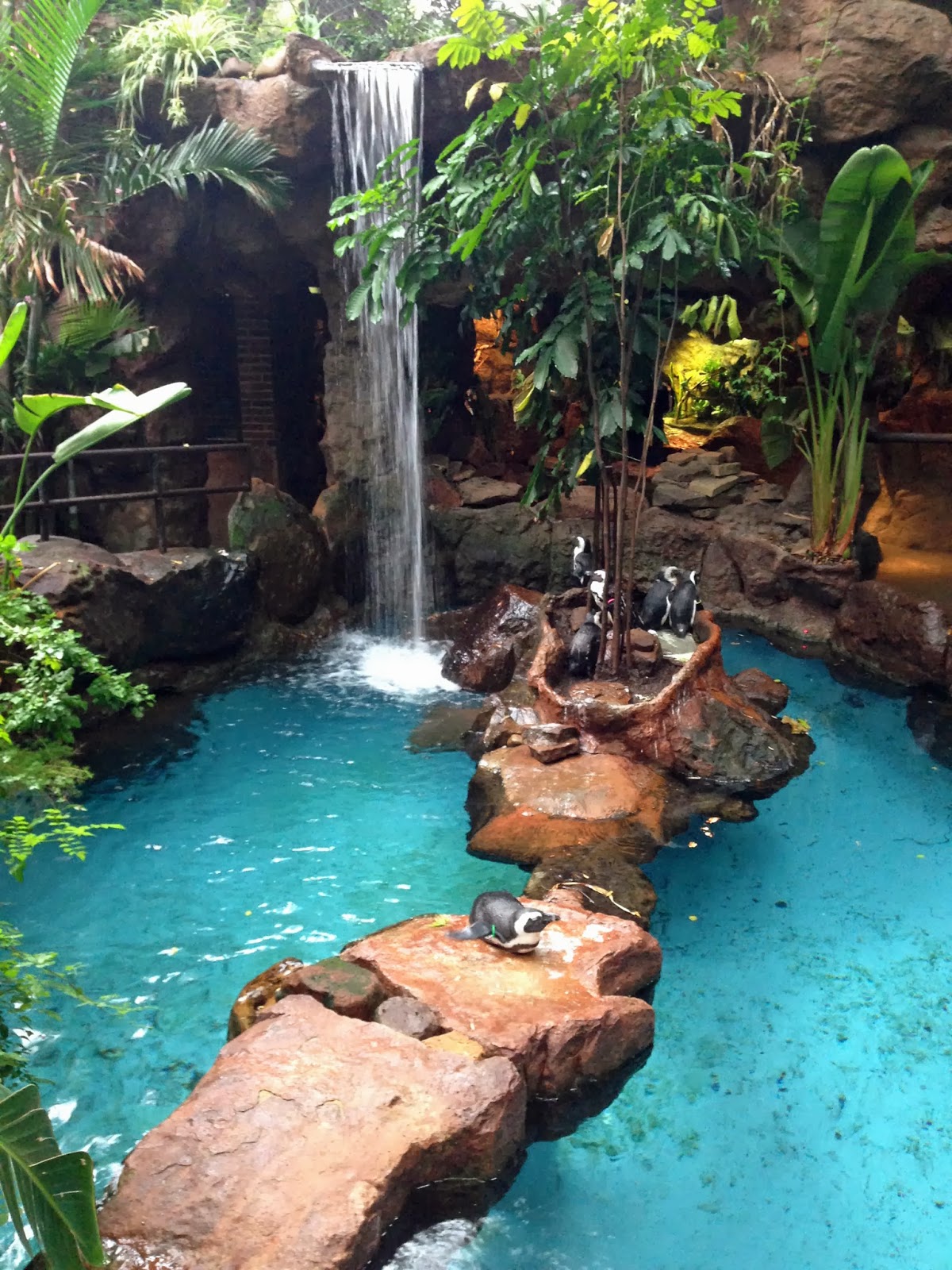 Dallas World Aquarium