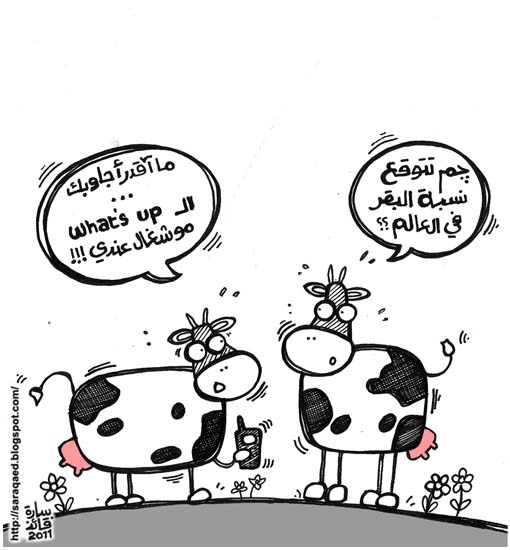 كاريكاتير سارة قائد البقر و ال Whats Up
