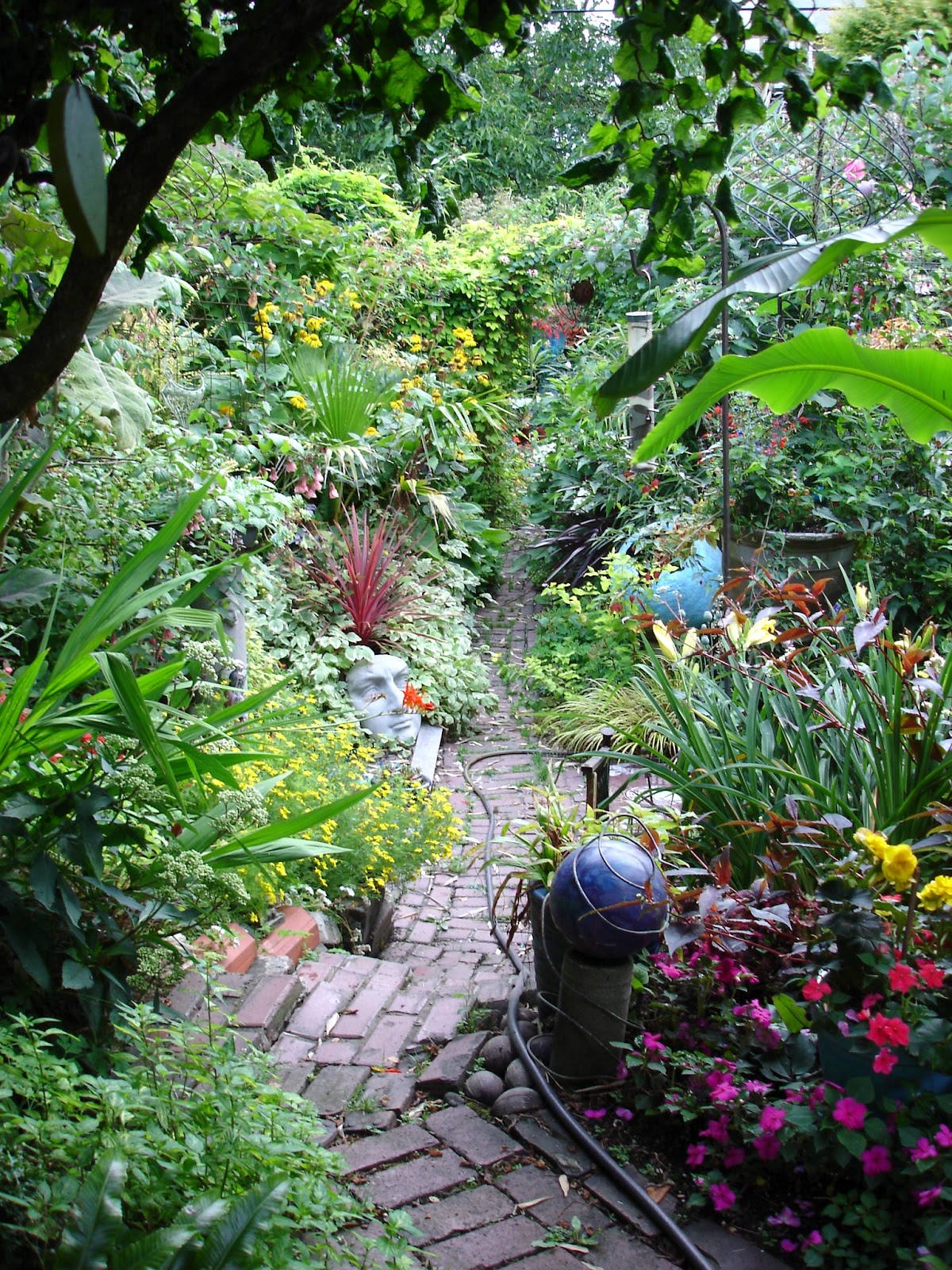 The Outlaw Gardener I Come to the Garden Alone