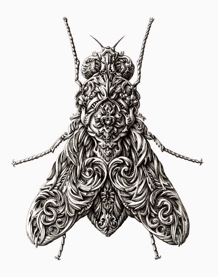 decorative insect drawing by Alex Konahin