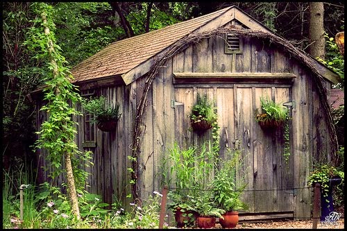 The Shed