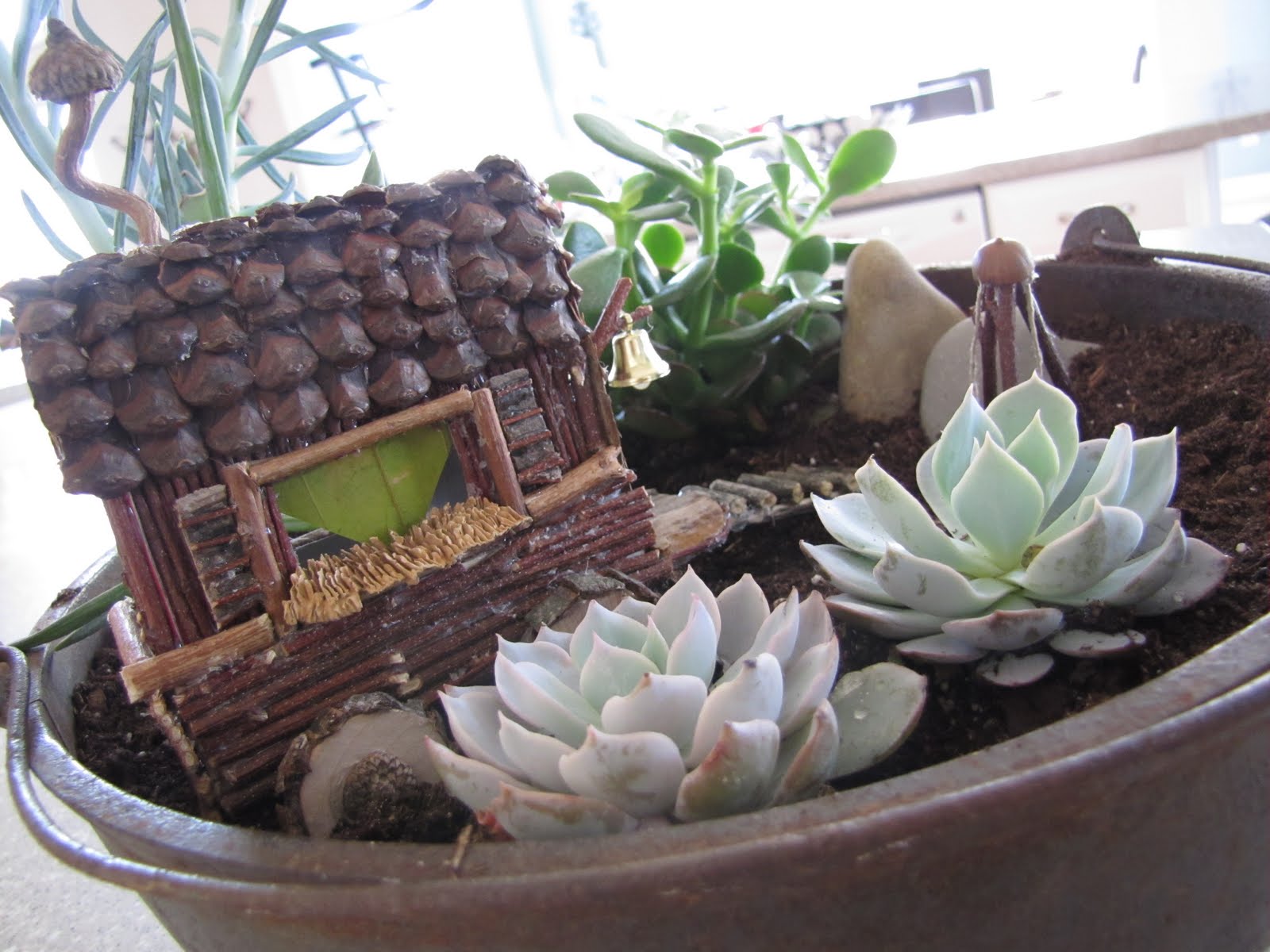 Fancilicious Fairylands Fairy Gardens and Gypsy Carvan Gardens for Sale!