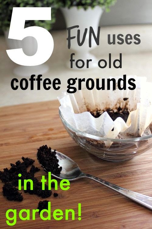 Make use of all those spent coffee grounds by adding them to your