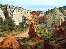 The Cockscomb at the East Kaibab Monocline of south-central Utah