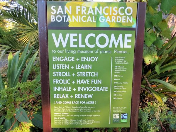 A Guide To Northeastern Gardening San Francisco Botanical Garden