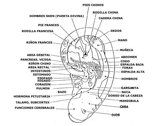 Medicina natural para perdida de peso image 10