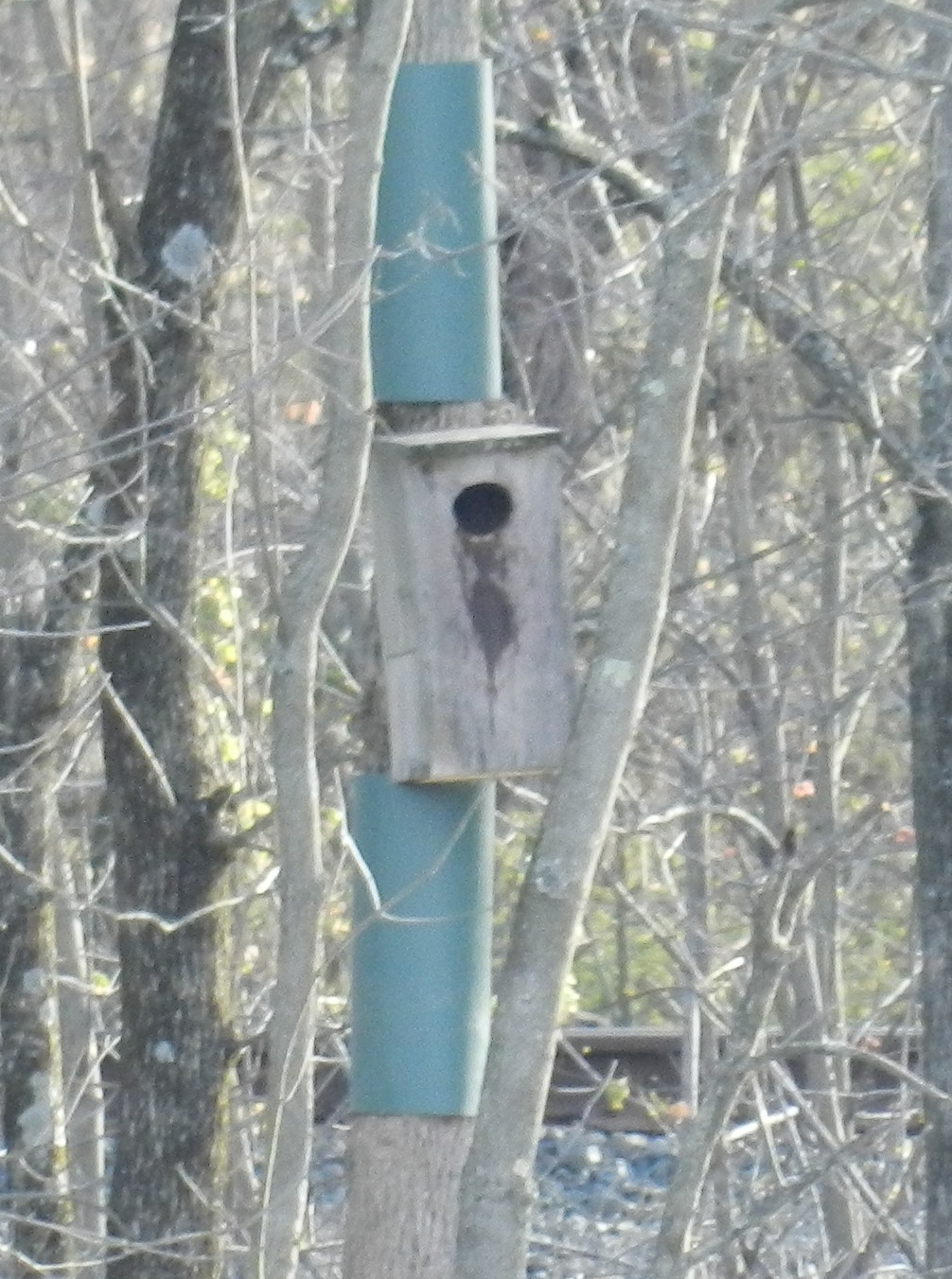 Best Woodworking Plans Book Wood Duck Nest Box Plans Wooden Plans