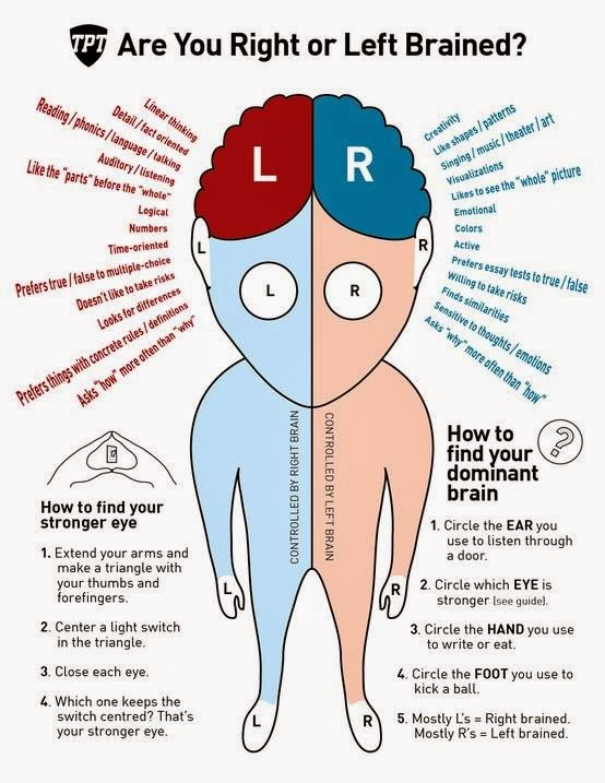 Sapient Conglomeration Left Brain Right Brain What Does It Mean?