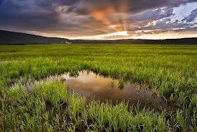 Sunshine Full HD Nature Wallpapers Free Downloads For Laptop Sunshine Full HD Nature Wallpapers Free Downloads For Laptop