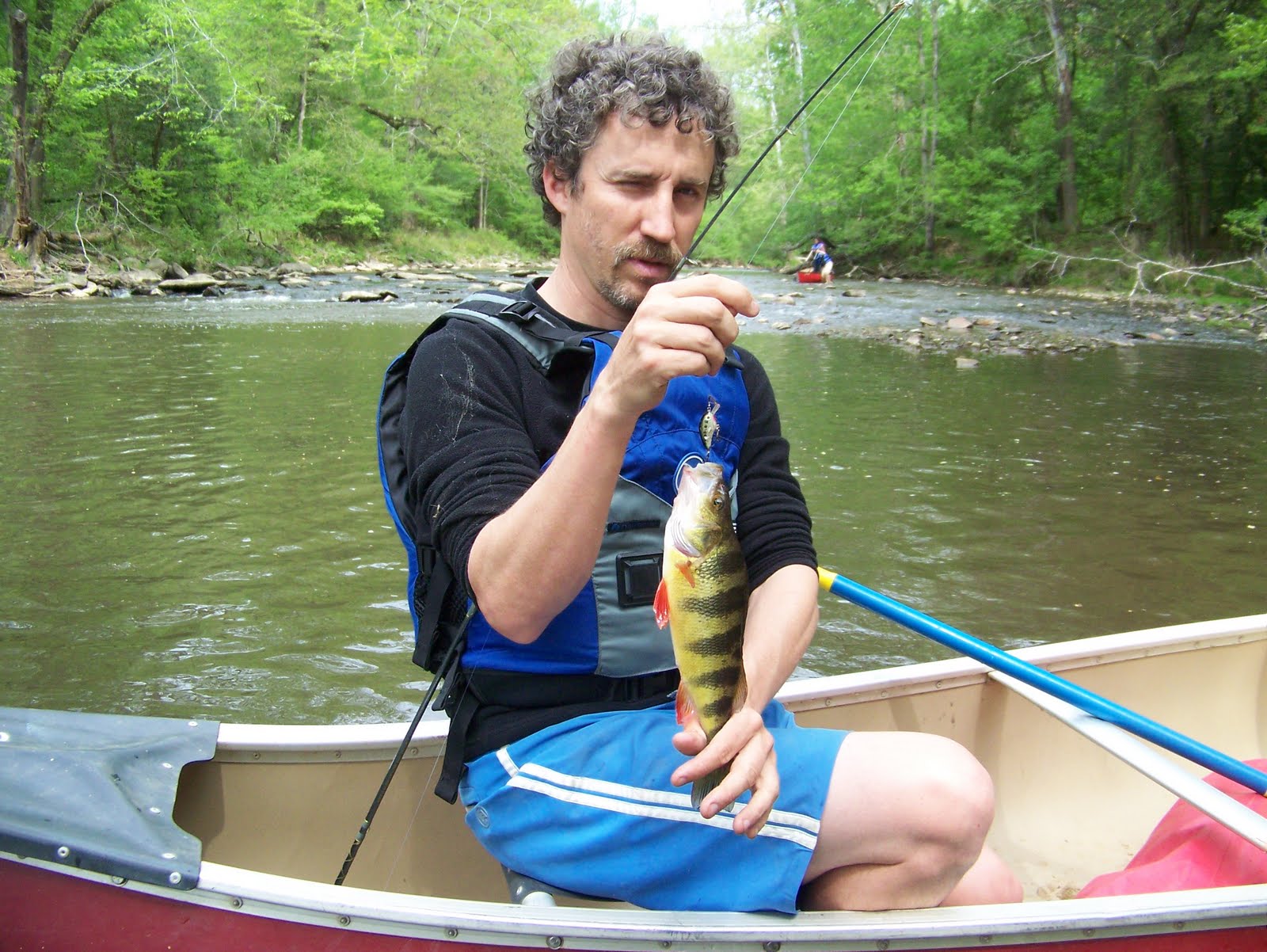 Biggest Yellow Perch
