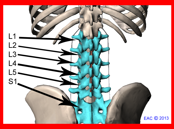Endurance Athlete Consulting by Senska Physical Therapy Cycling