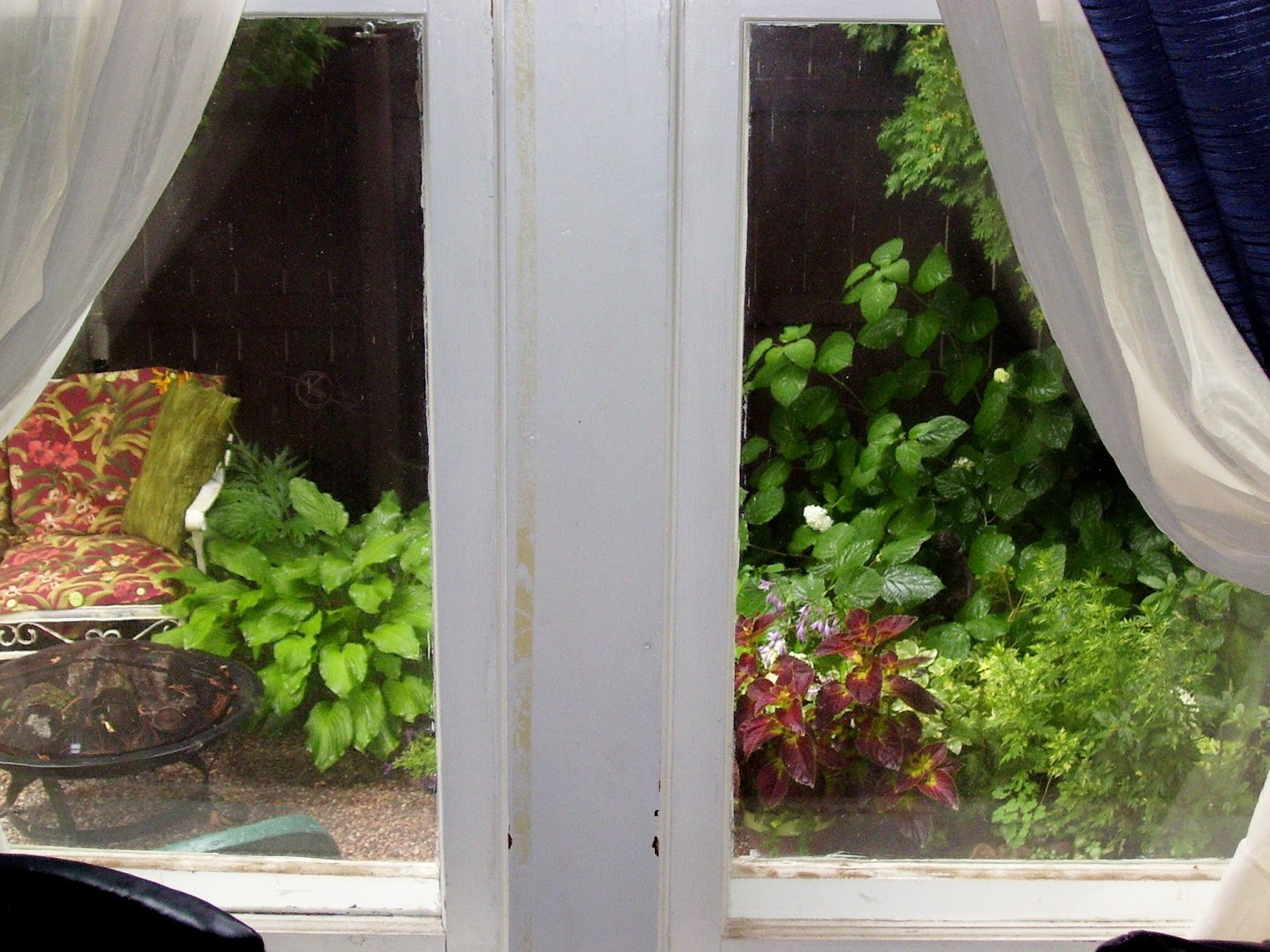 Talking to Plants Inside Inside, Outside Outside