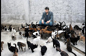 Los gatos de Keanu Reeves