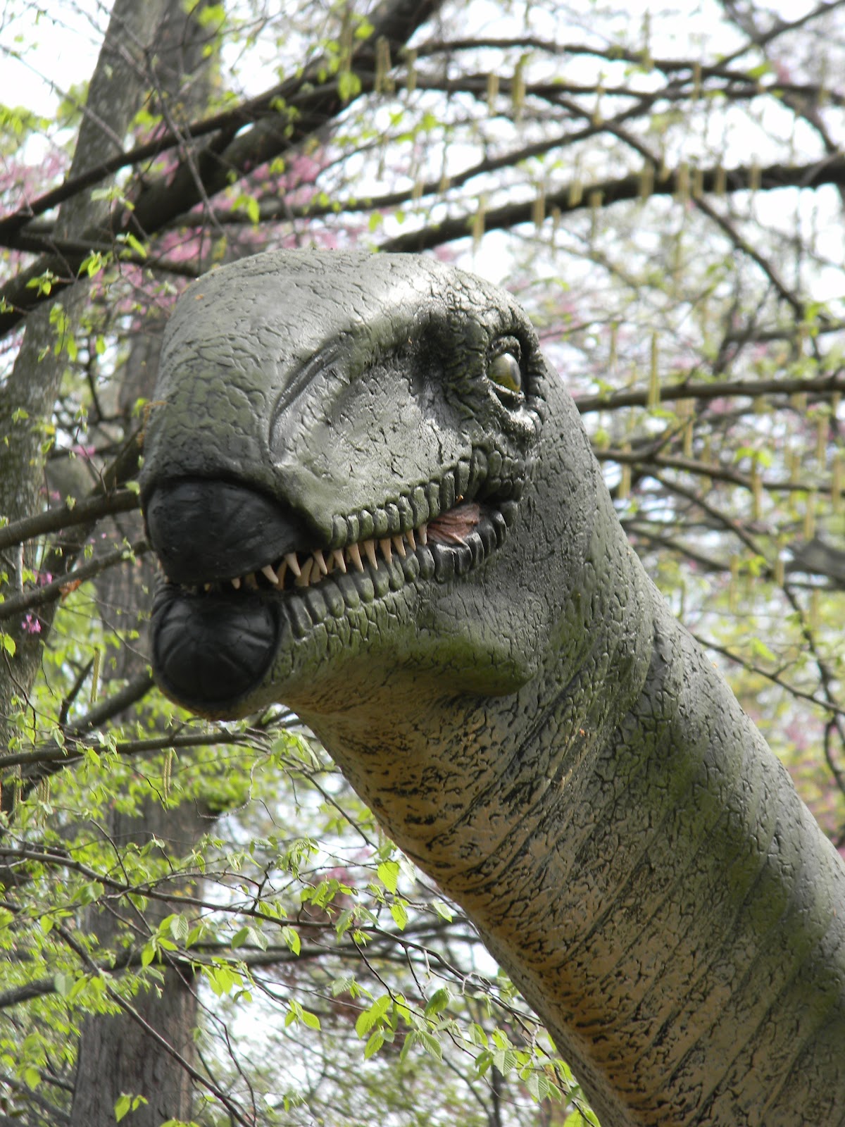 Mothers Of Memphis Dinosaur Exhibit at the Memphis Zoo!! My Review