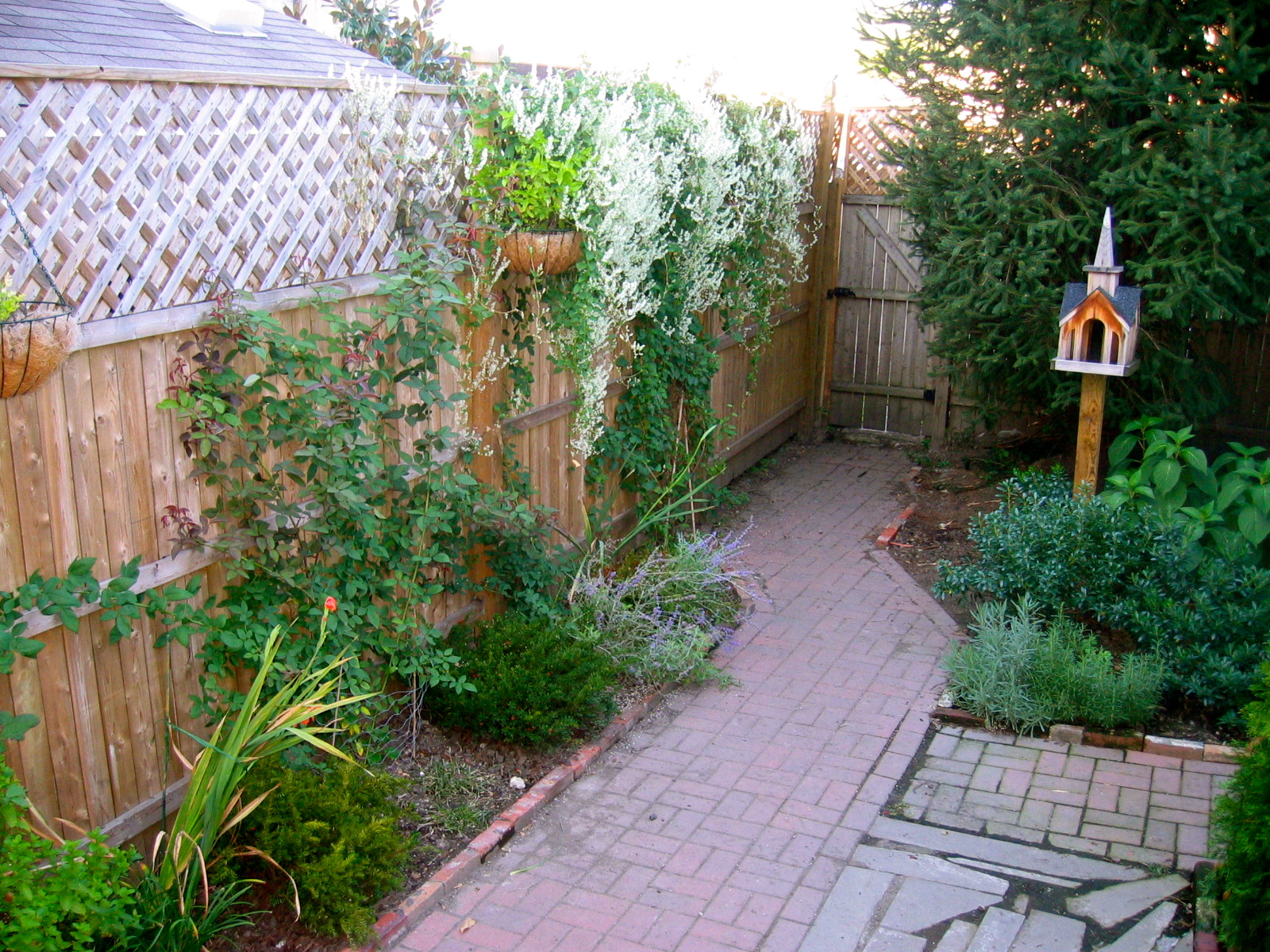 Mel & Liza Backyard Redo