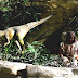 Creation Museum - Answers In Genesis Museum