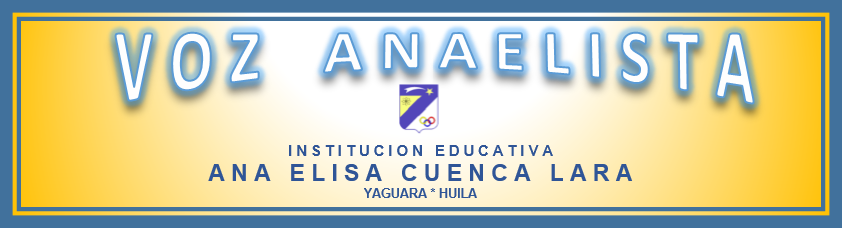 Institución Educativa Ana Elisa Cuenca Lara