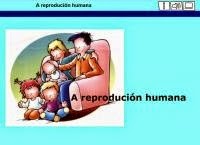 http://www.edu.xunta.es/espazoAbalar/sites/espazoAbalar/files/datos/1363266763/contido/reproducionhumana.html
