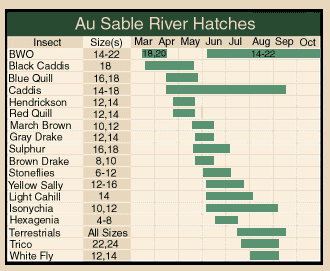 Ausable River Hatch Chart