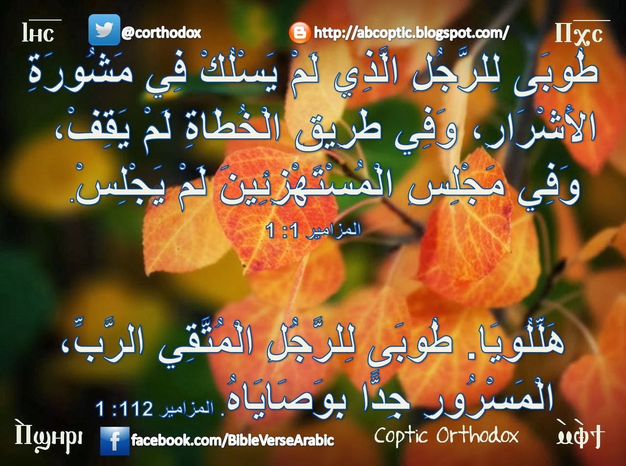 abcoptic27092013.JPG