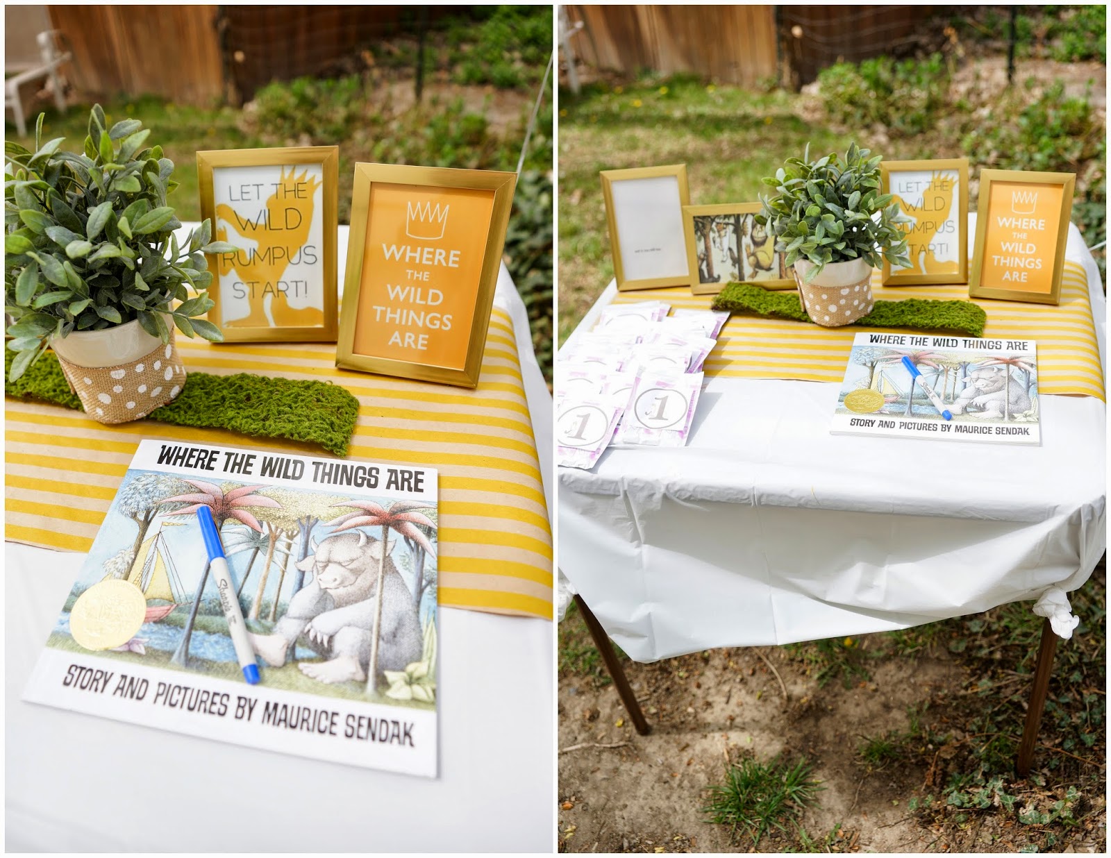 Sonreir Rem S Wild Rumpus