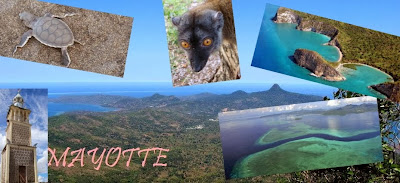 Mayotte l'île aux parfums aux tortues au lagon