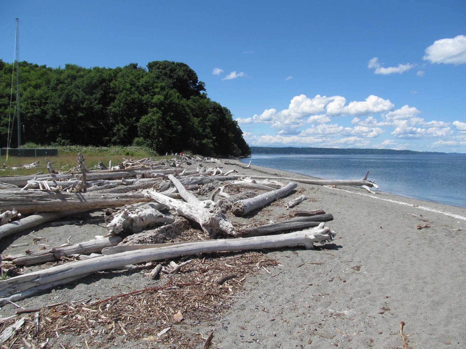 Gravel Beach: Point Robinson